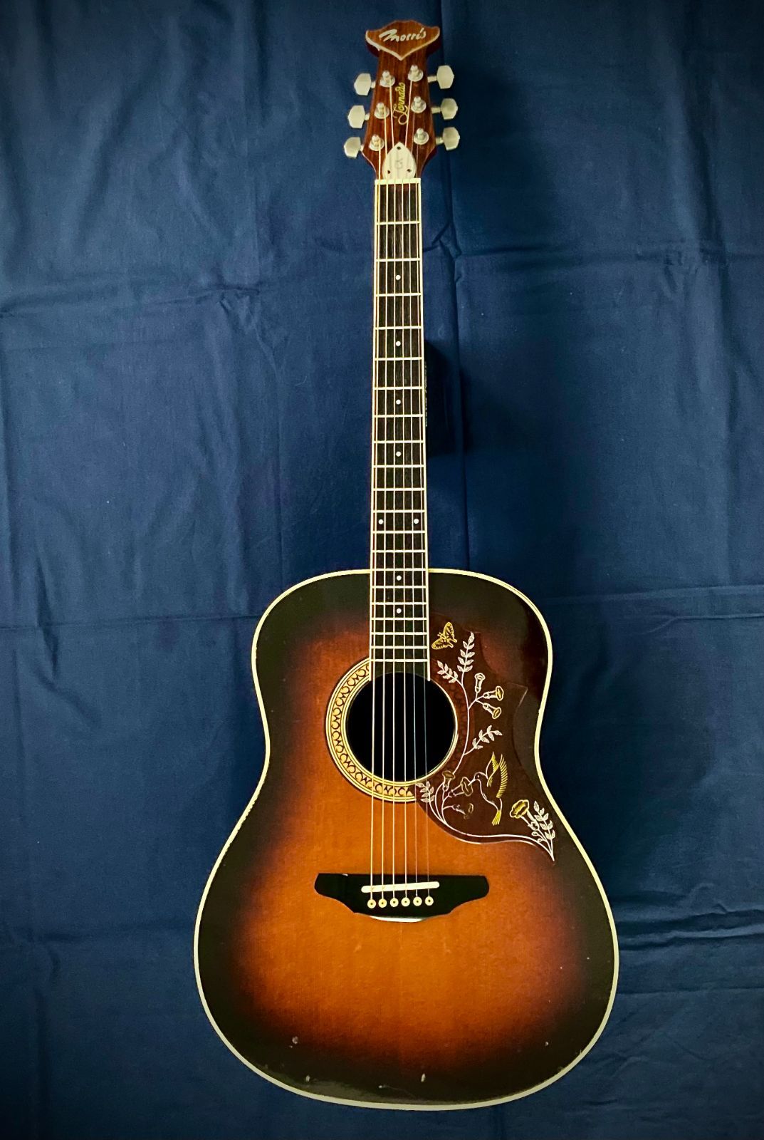 モーリス トルネード GXD 1984 スプルース単板モデル Gseries - メルカリ