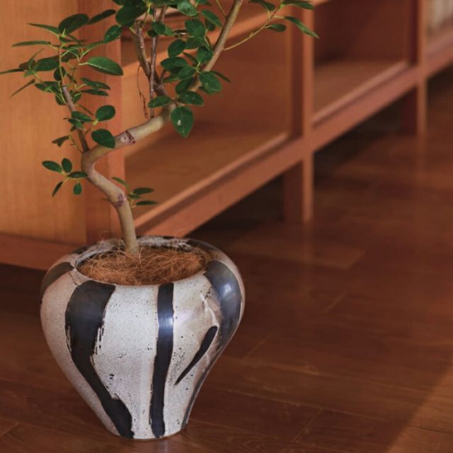 花 観葉植物用ポット イヴァナ 26 Ceramic POT 1個入り 26022 底穴なし 鉢タイプ 代引き不可 大型鉢カバー FARM p13