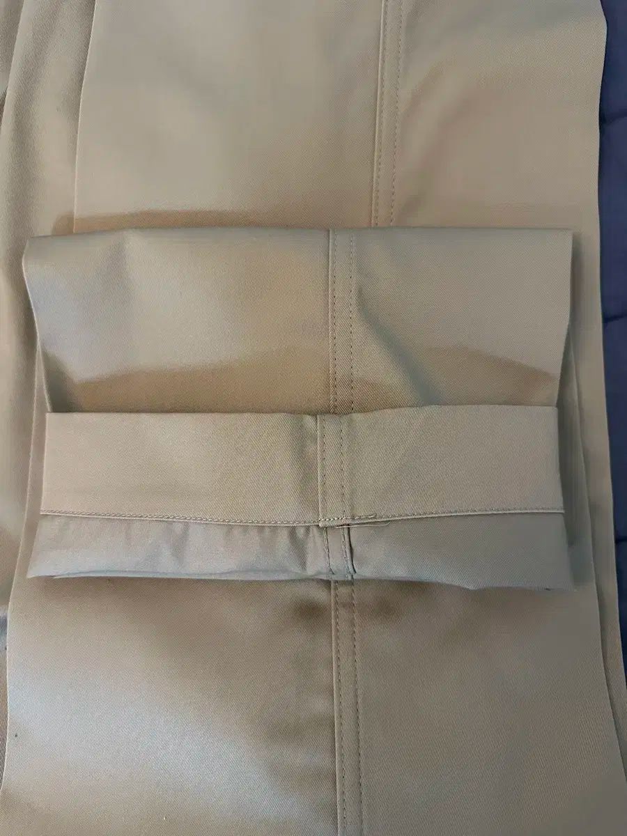 アナトミカ チノ