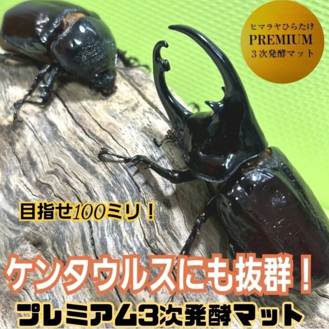 極上！栄養価抜群 プレミアム3次発酵カブトムシマット 幼虫の餌・産卵