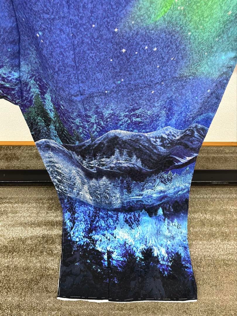 金糸 銀彩 大輪 訪問着 仮絵羽 未仕立て品 正絹 八掛付 舞台衣装 大衆演劇 Amazon.co.jp: グロワール 銀通し 訪問着 仮絵羽 銀河 宇宙 星座 舞台