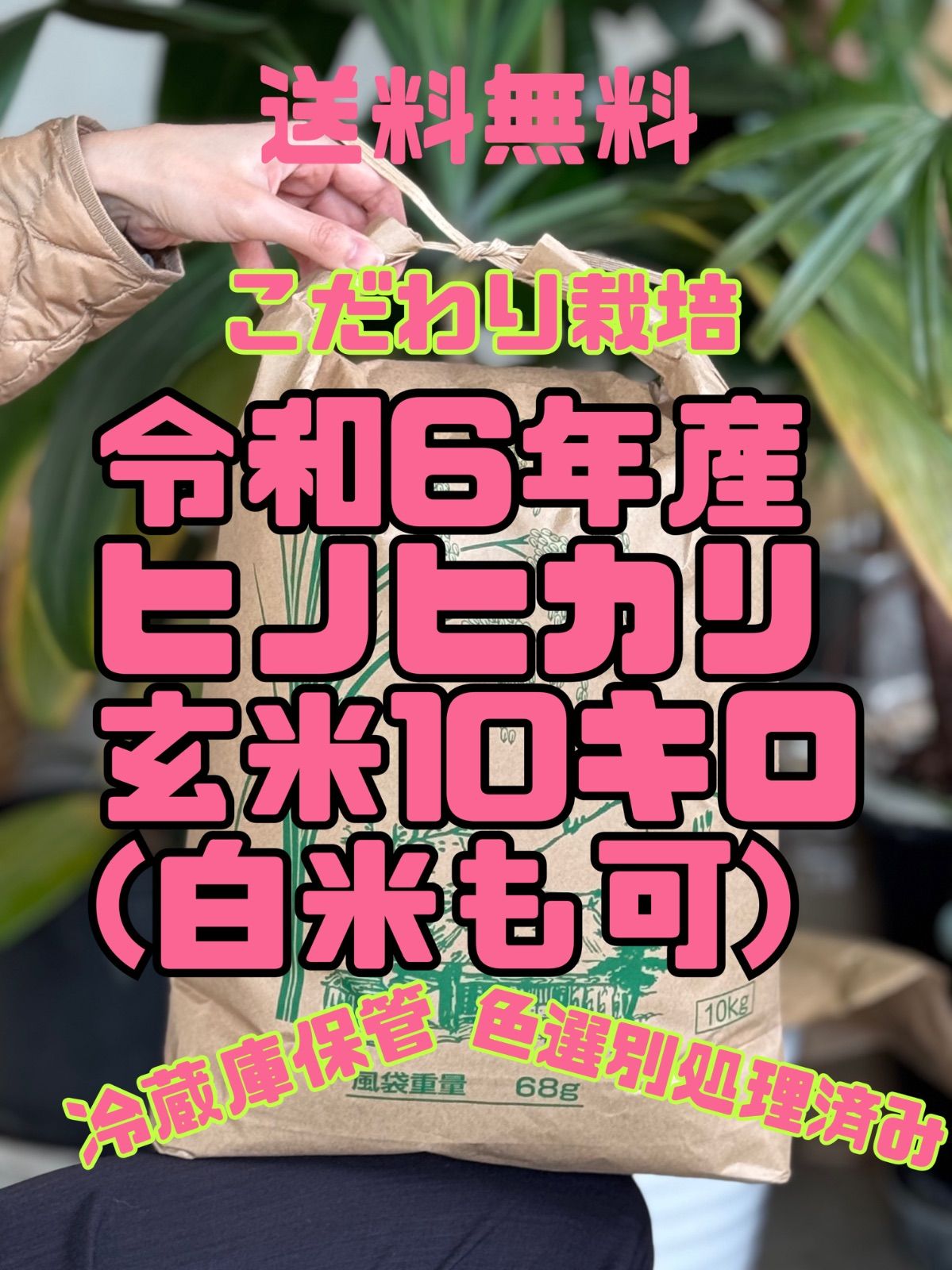 ヒノヒカリ 令和6年産 10キロ 冷蔵庫保管11