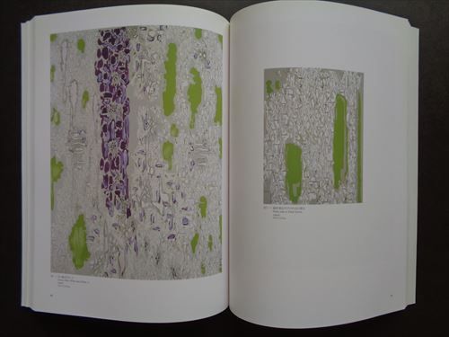中西夏之展 広さと近さ—絵の姿形（2002〜2003年）