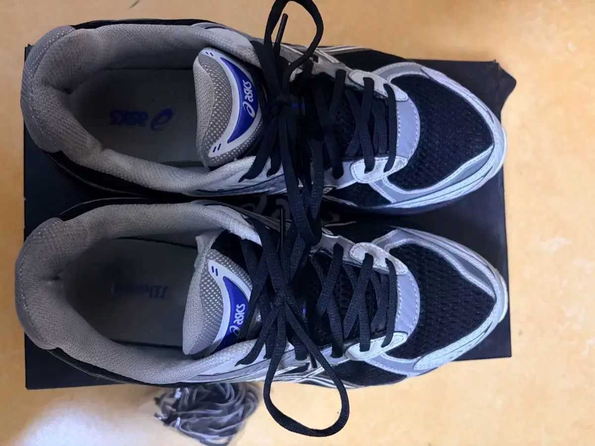 アンティーク スイス アペンツェル刺繍 精緻な白糸刺繍 プチスカラップ