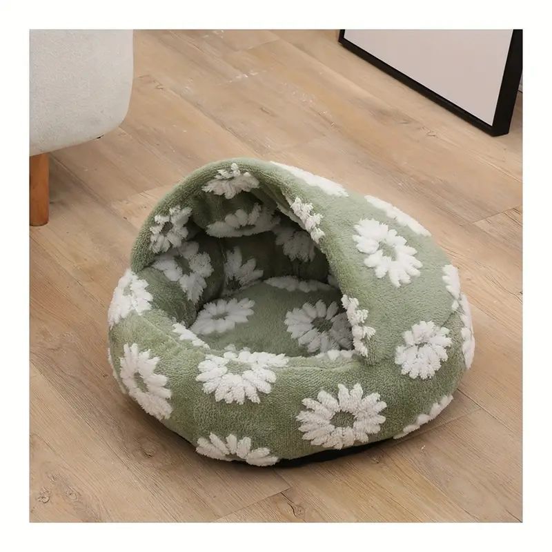 小型猫