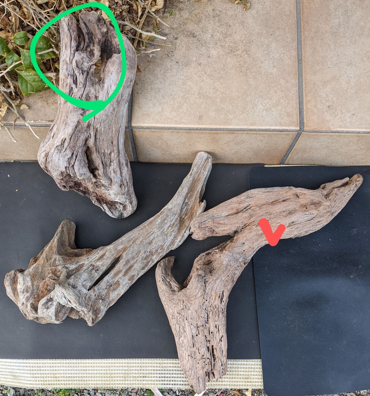 ADA流木3本、他流木2本 ADA 流木の通販 流木 3本