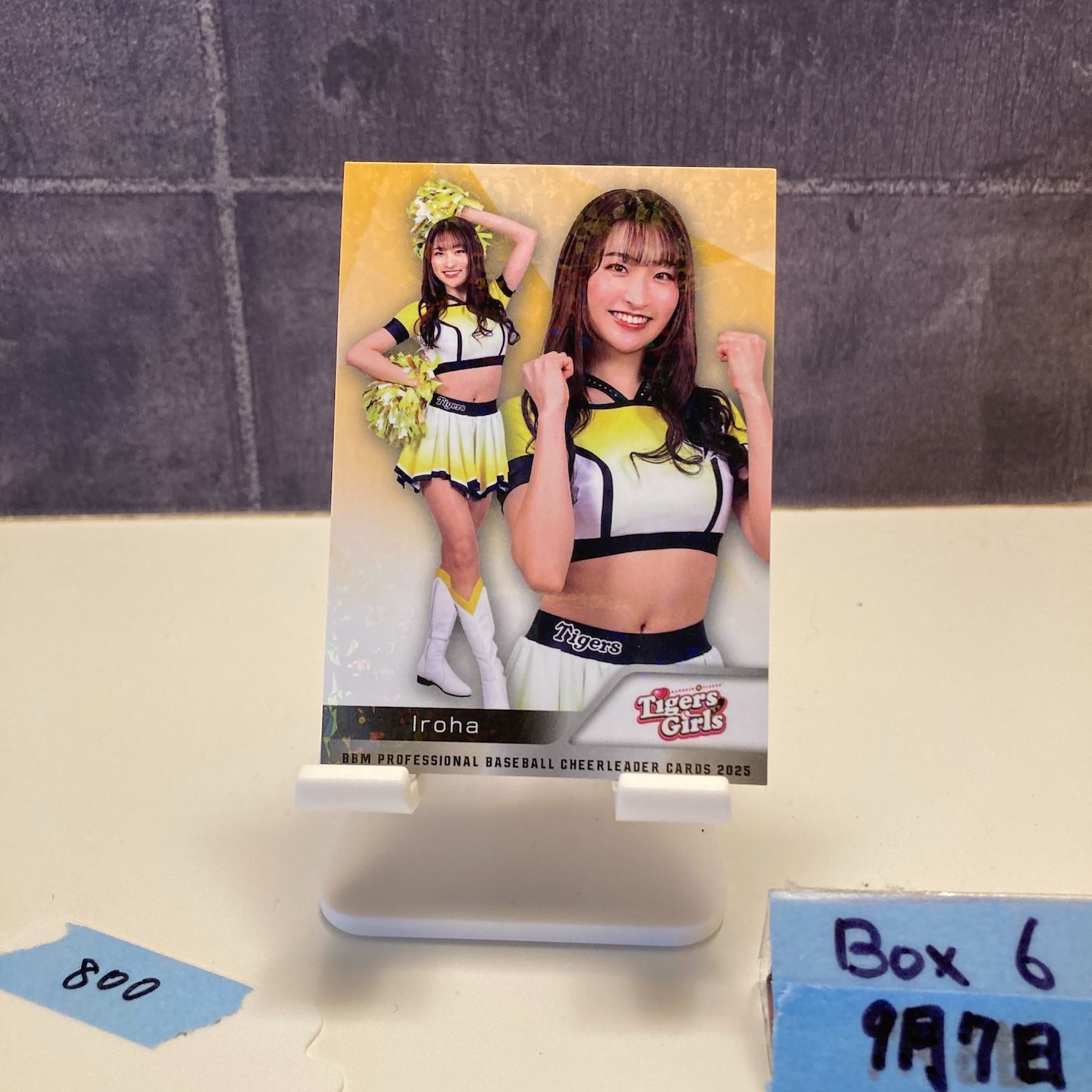 2025 BBM DANCING HEROINE Iroha 阪神タイガース TigersGirls チア 
