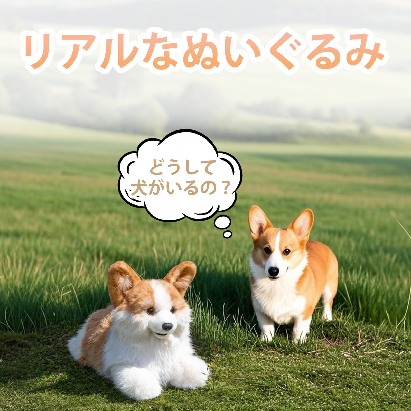 置物 本物そっくり