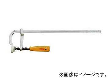 法螺貝①　貝殻　標本 法螺貝① 貝殻 標本