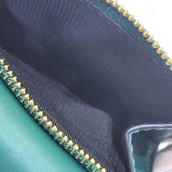 フォーエバー グリーンスネークヘッド