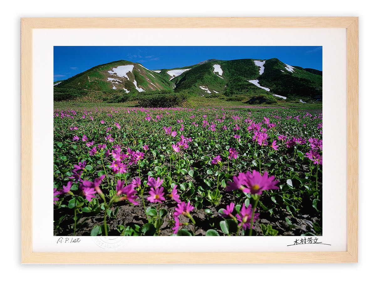 アートフォト 絵画 壁掛け 桜咲く 白山市 絵画 壁掛け 壁飾り インテリア 油絵 花 アートパネル ポスター 絵 額入り リビング 玄関 アートフォト 絵画 壁掛け 桜咲く 白山市 絵画 壁掛け 壁飾り