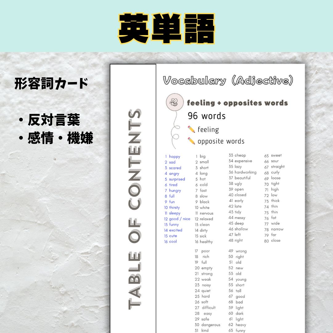 英単語カード 10セット① - 知育玩具