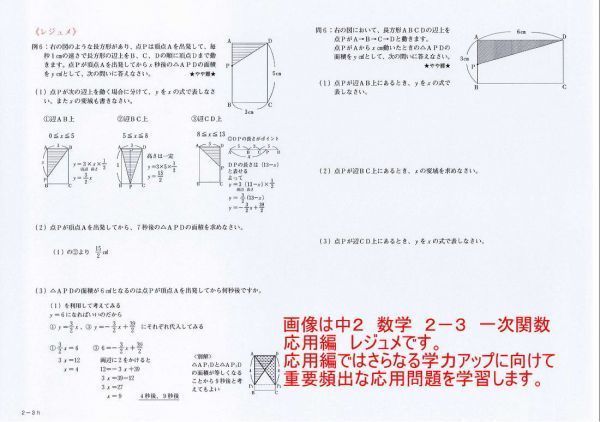 プロが教える 数学 中学 2年 DVD 授業 応用 5枚 問題集 参考書 中２ 