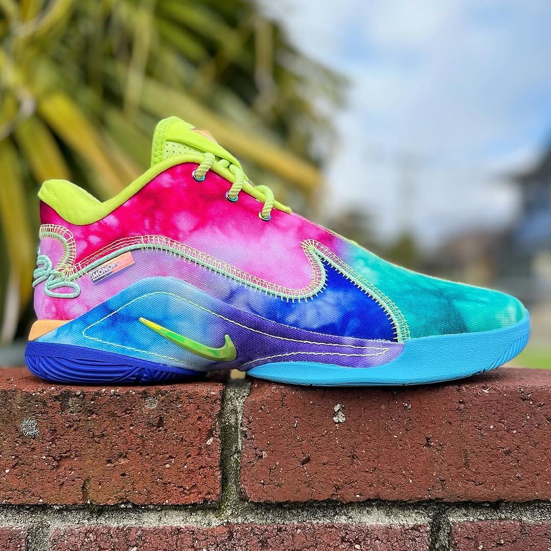 NIKE LEBRON 22 EP ナイキ レブロン 30cm 替え紐 箱付き NIKE LEBRON 22 EP 'WHAT THE MONOPOLY' 'WTM' ナイキ レブロン 22