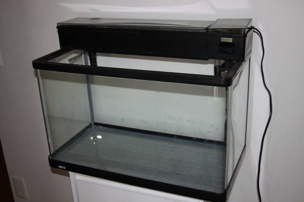 送料込み】GEX60cm曲げガラス水槽 GEXデュアルクリーン600 上部