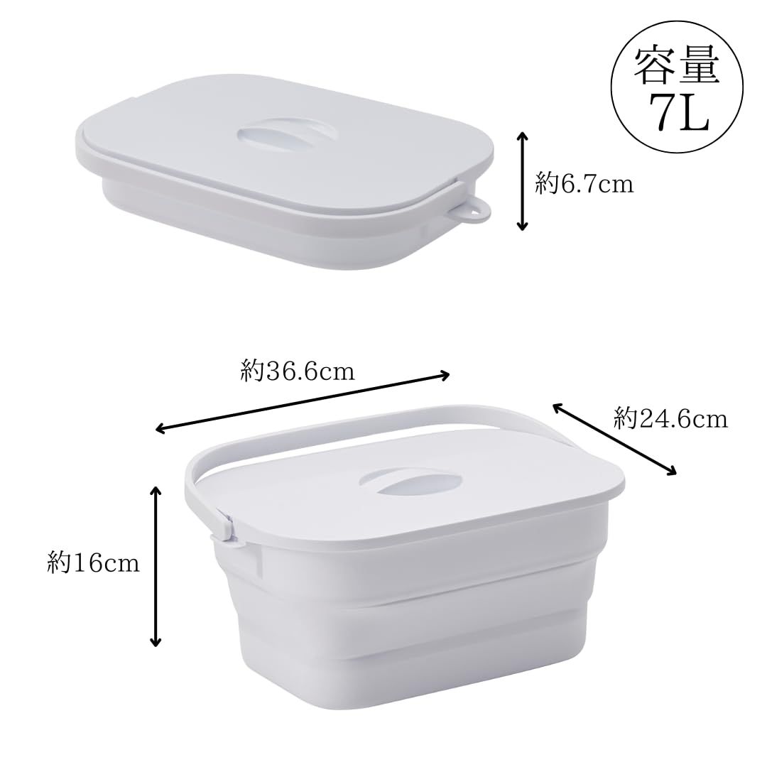 伊勢藤 I