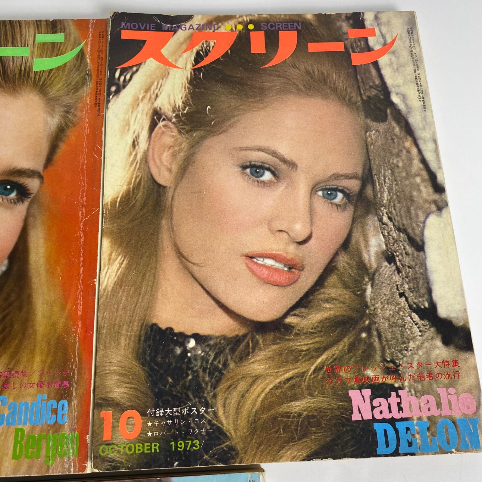 映画雑誌 スクリーン SCREEN 1973年 1～12号 ⑥