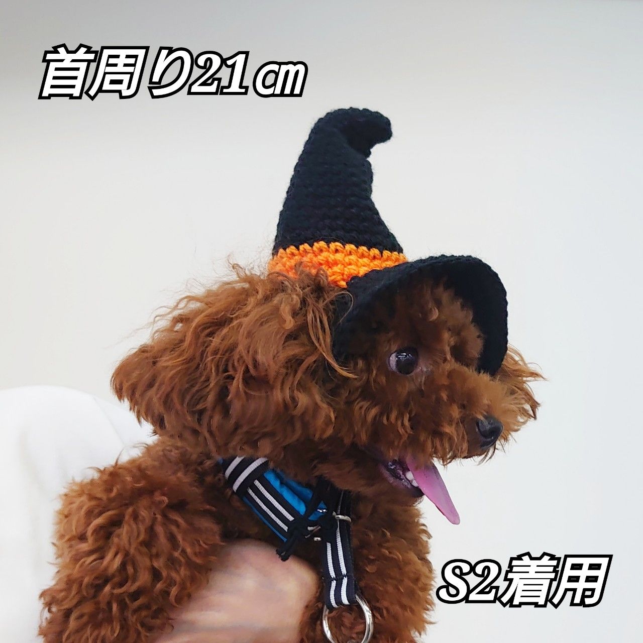 空茶　犬服　ハロウィンパープルドレス➕魔女帽子3着　ハンドメイド ハロウィン限定版 -パープルの魔女が空高く舞い上がる - ペット