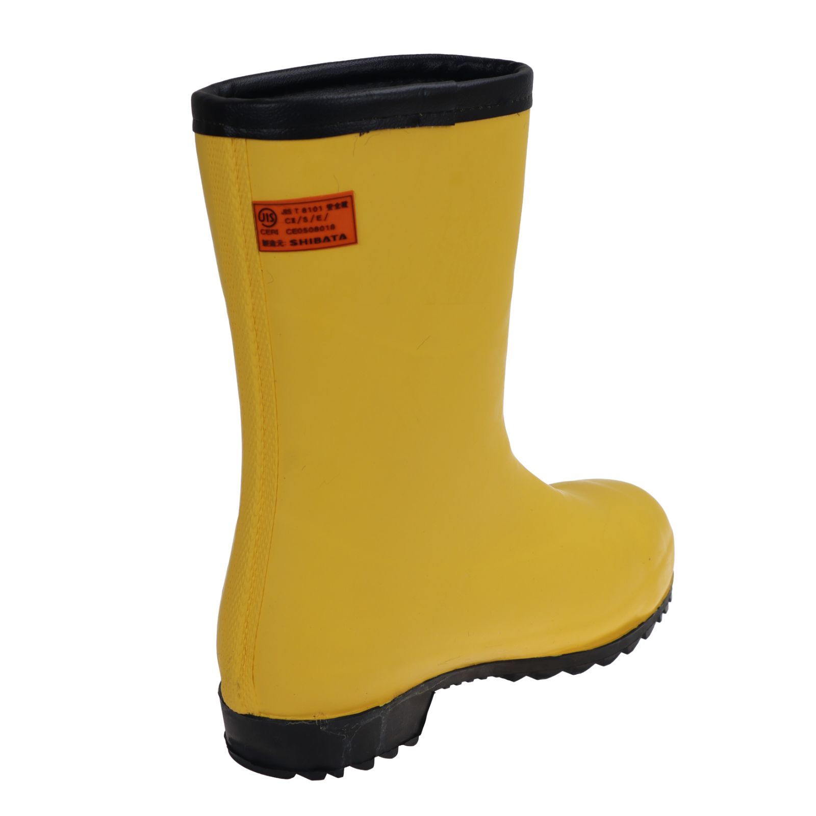 白熊 フード無し