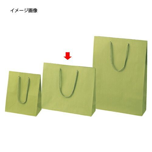 【まとめ買い10個セット品】手提げ紙袋 カラークラフト袋 ひわ 33×10×29cm 10枚 61-313-10-2 【 ラッピング用品 手提げ紙袋（無地） カラー手提げ紙袋 】【 包装 ラッピング袋 紙袋 ペーパーバッグ 中身が見えにくい 無地 クラフト袋