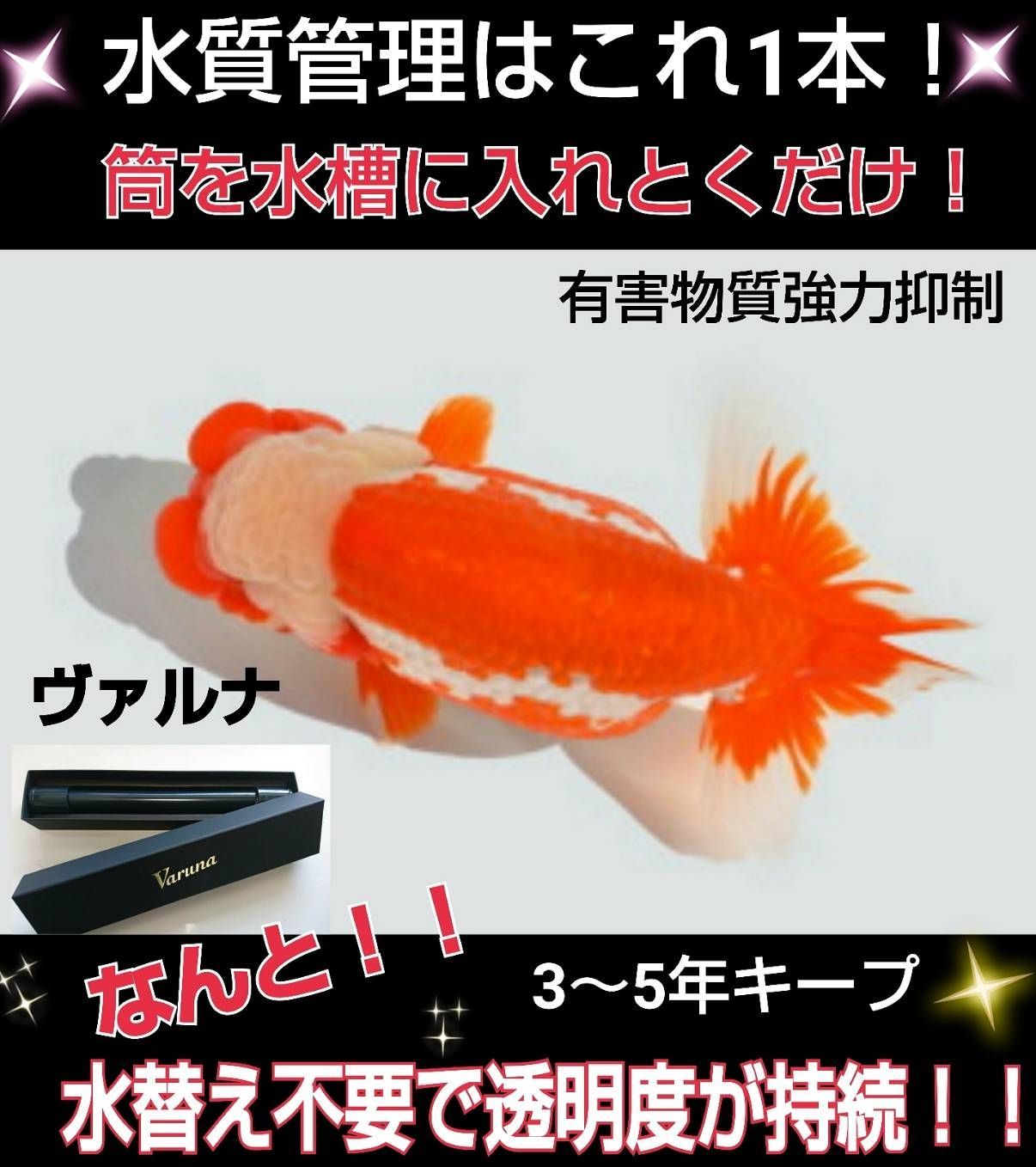 ヴァルナ15センチ/水替え不要/有害物質や病原菌の抑制/水質UP ヴァルナ15センチ/水替え不要/有害物質や病原菌の抑制/水質UP