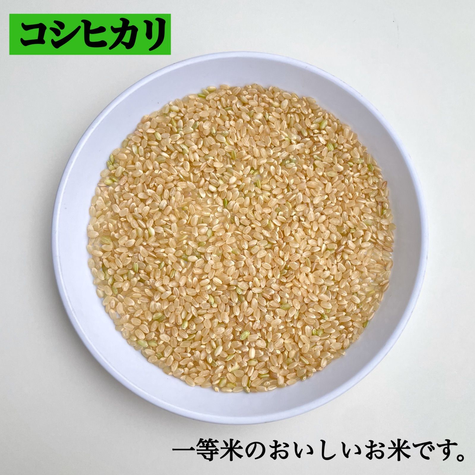 全て無料新潟県長岡産令和2年度コシヒカリ整粒20キロ玄米 米/穀物