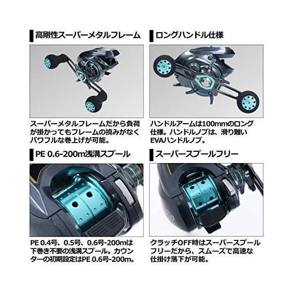 ダイワ(DAIWA) 小売 カウンター付ベイトリール LIGHT SW X IC SS (右