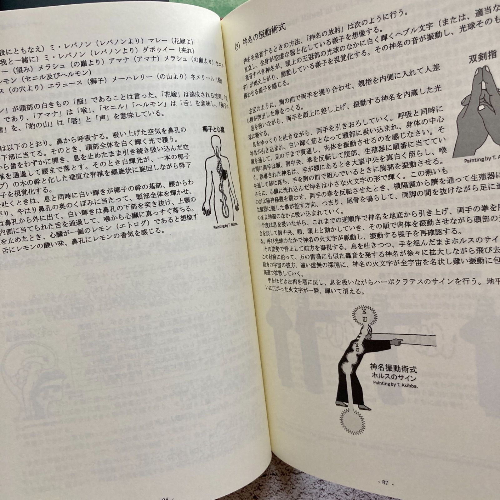 魔術原論エレメンタマギカ 2巻セット 黄金の夜明け団 薔薇十字