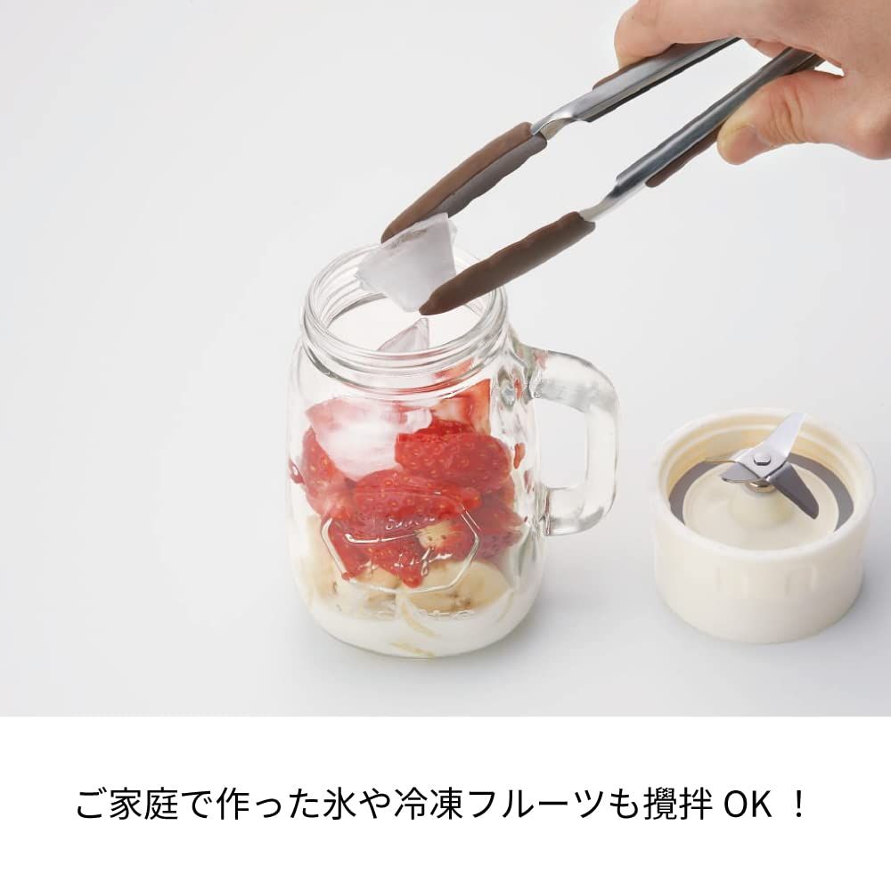 レコルト ソロブレンダー ソラン RSB-3 recolte Solo Blender Solen