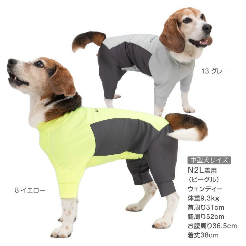 Amazon | RIOSTUDIO 犬服 春夏 【日本初上陸】PEEKAPOODLE