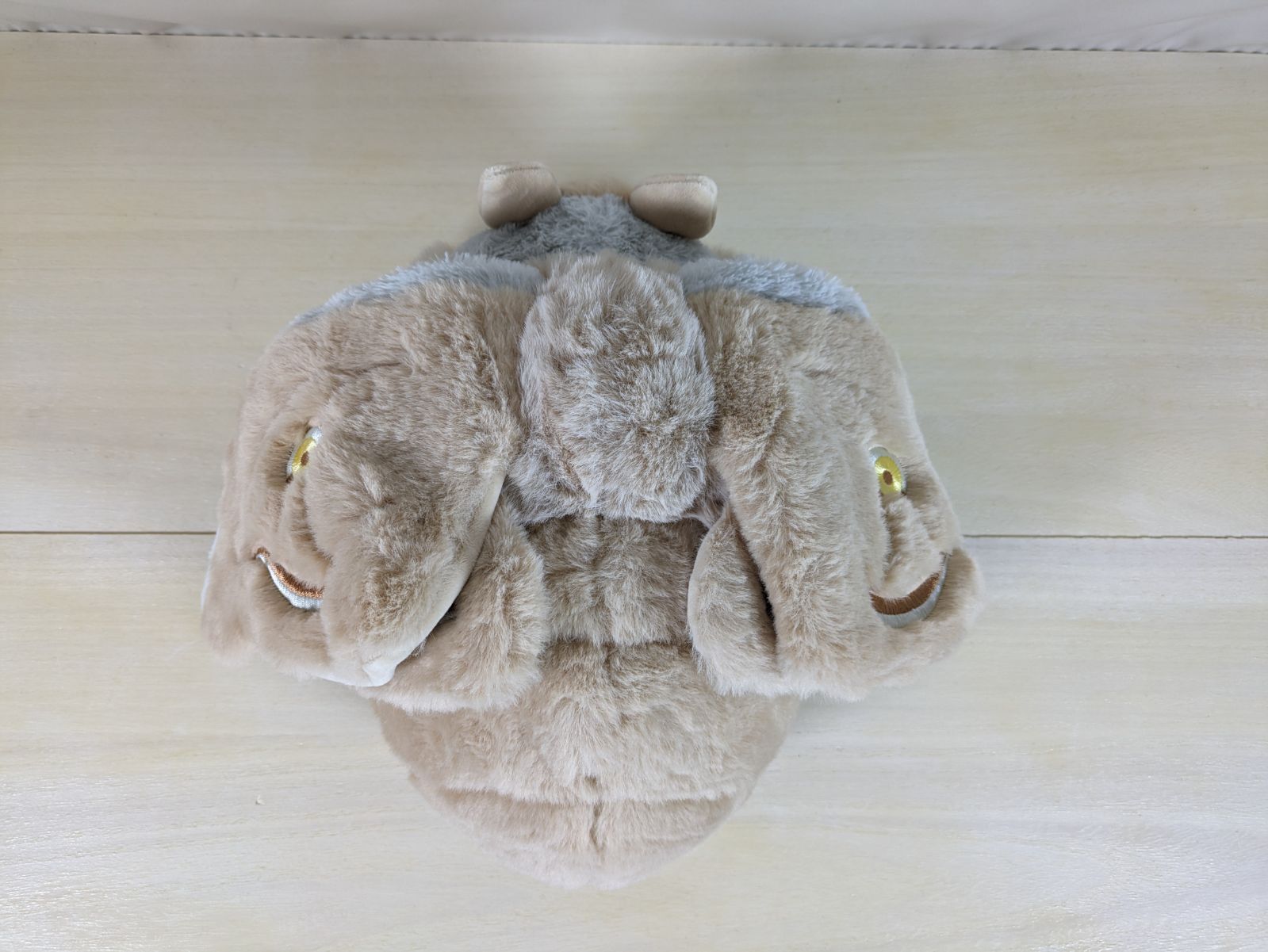 大野30-3-0929】モスのいる日常 ぬいぐるみ ヤママユガ系モス モス の