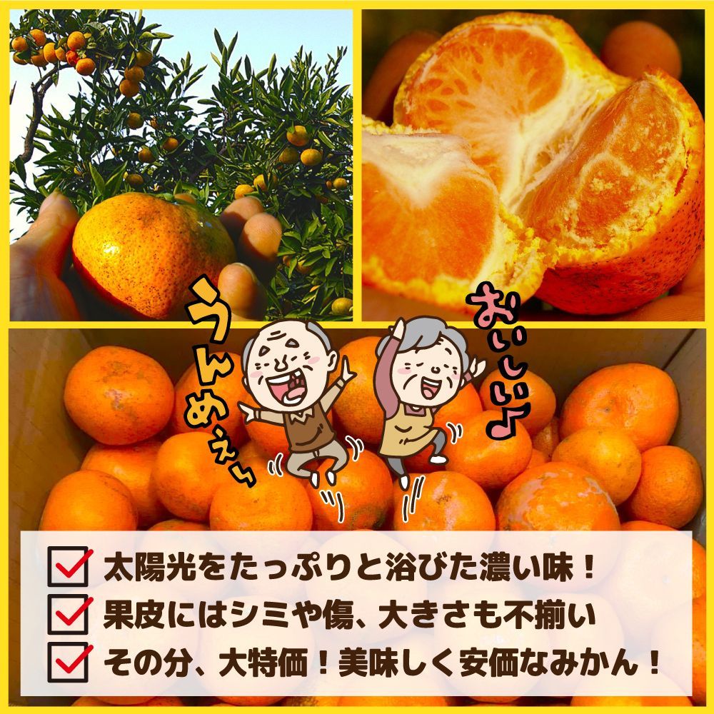 愛媛みかん（7日以内発送）外なり極早生愛媛みかん箱込10kg+保証分500g ※沖縄・離島・北海道は発送不可