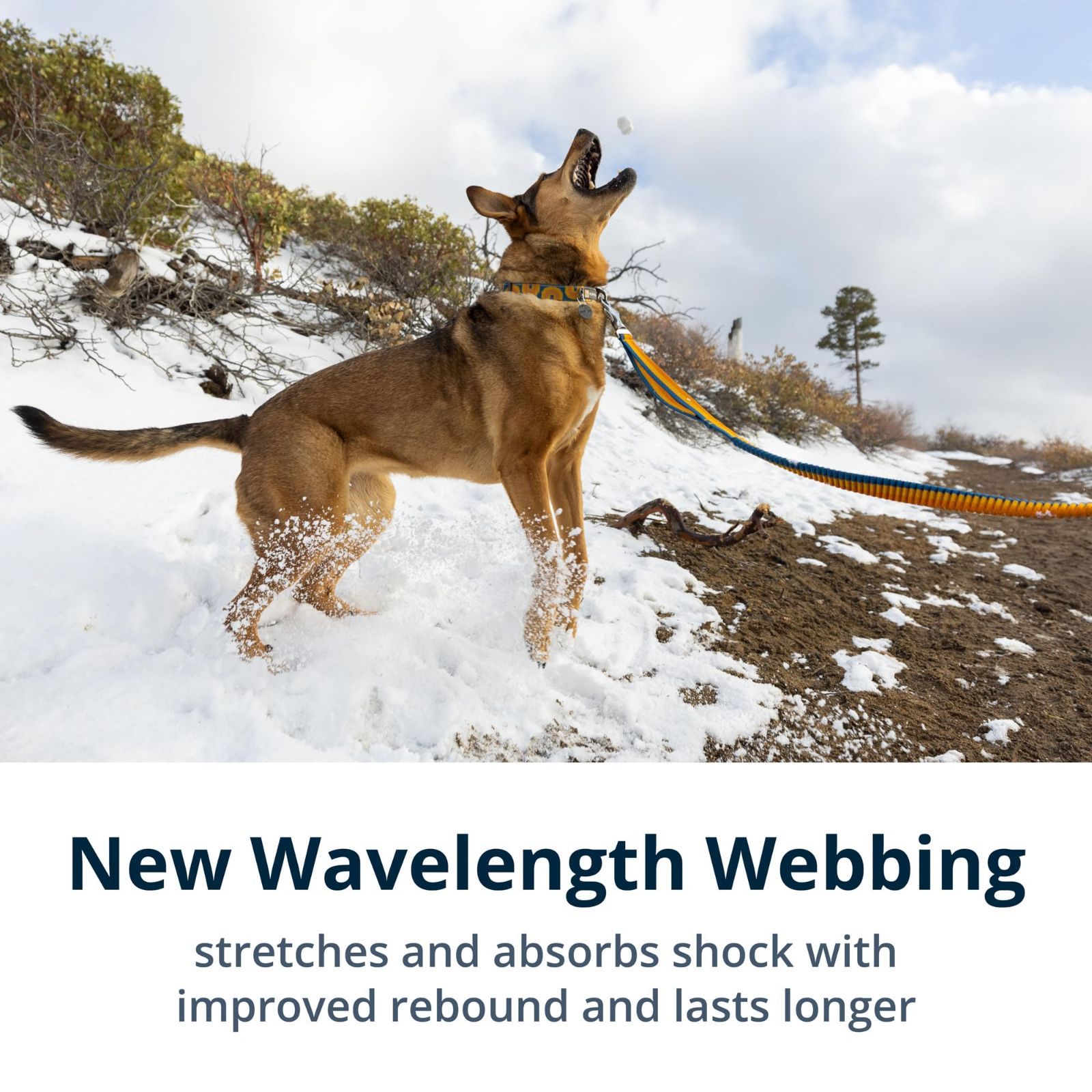 ローマーリーシュ