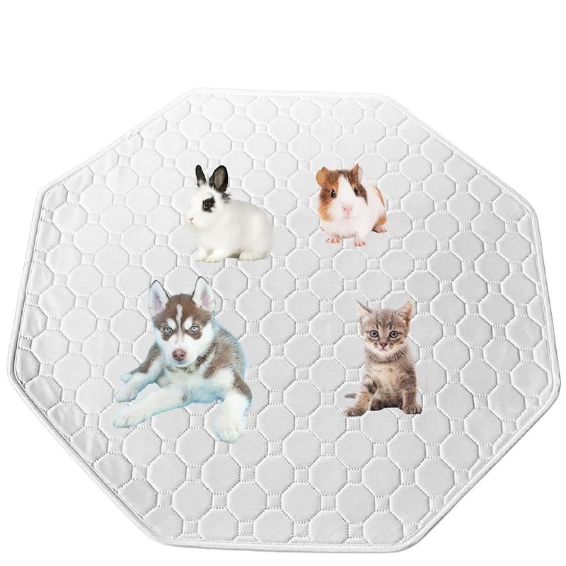 聖パンプキンの呪文 ペーパームーン叢書 内田善美