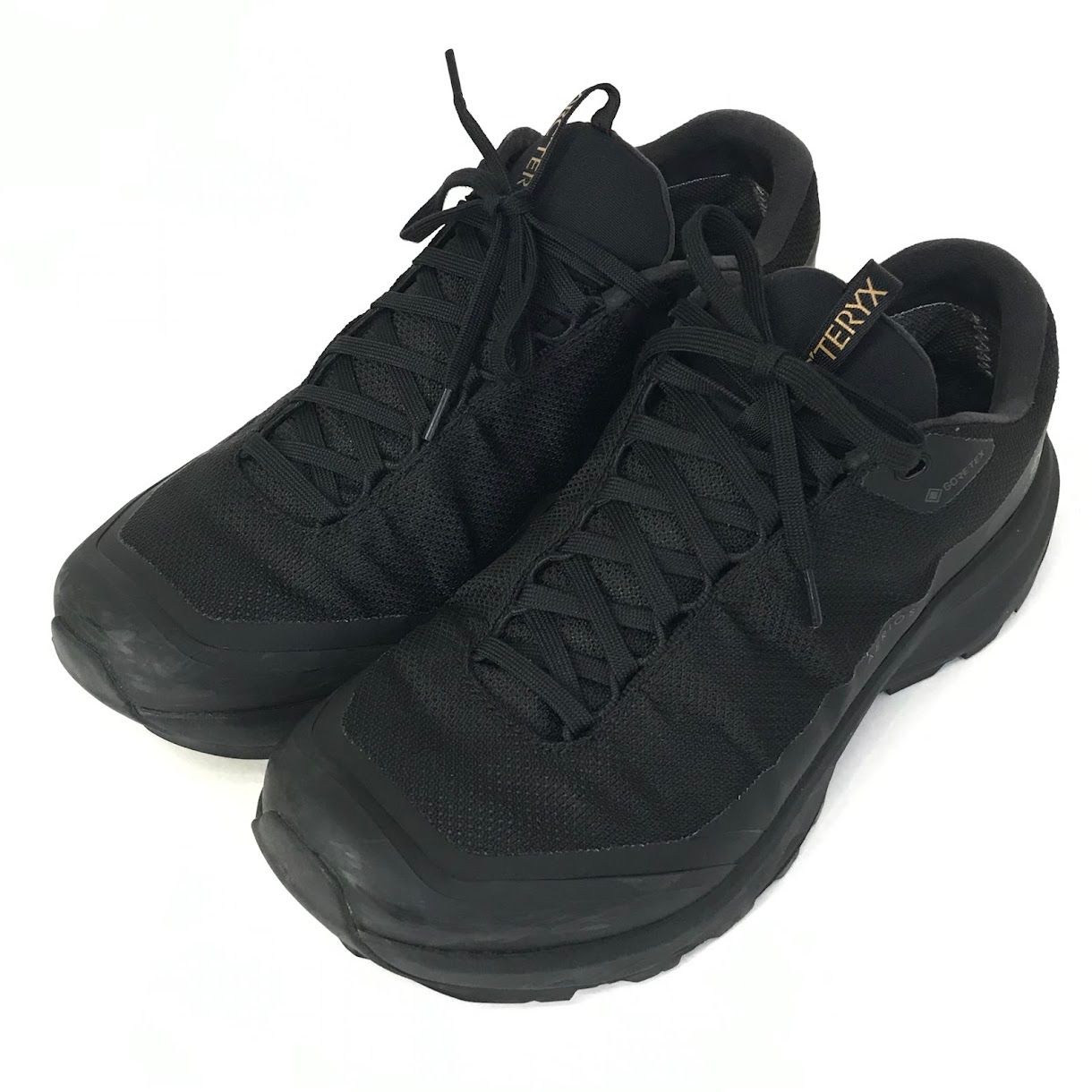 倉吉店】ARC'TERYX | アークテリクス スニーカー AERIOS GTX