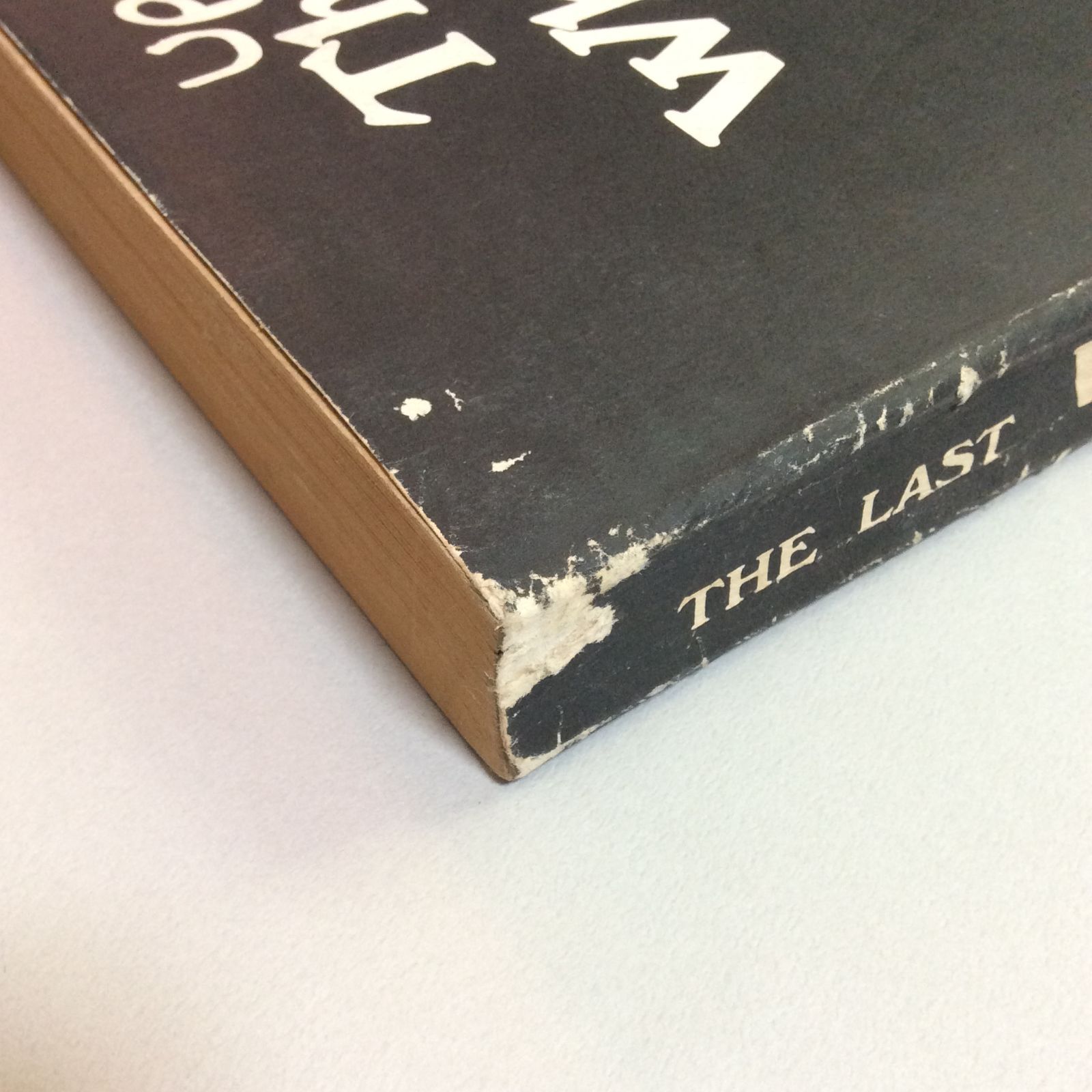 The Updated Last Whole Earth Catalog / ラストホールアースカタログ