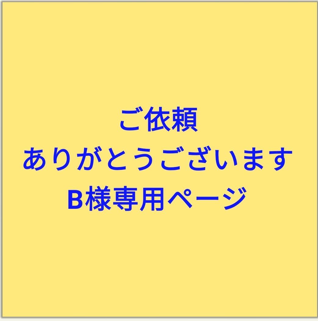 B様ご依頼品 - メルカリ