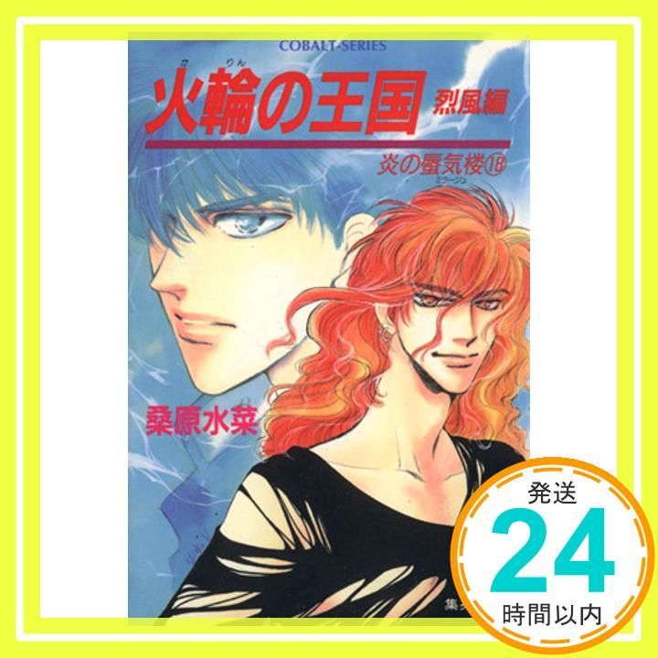 炎の蜃気楼シリーズ 18 火輪の王国 烈風編 コバルト文庫 Dec 22 1995 桑原 水菜 浜田 翔子_03