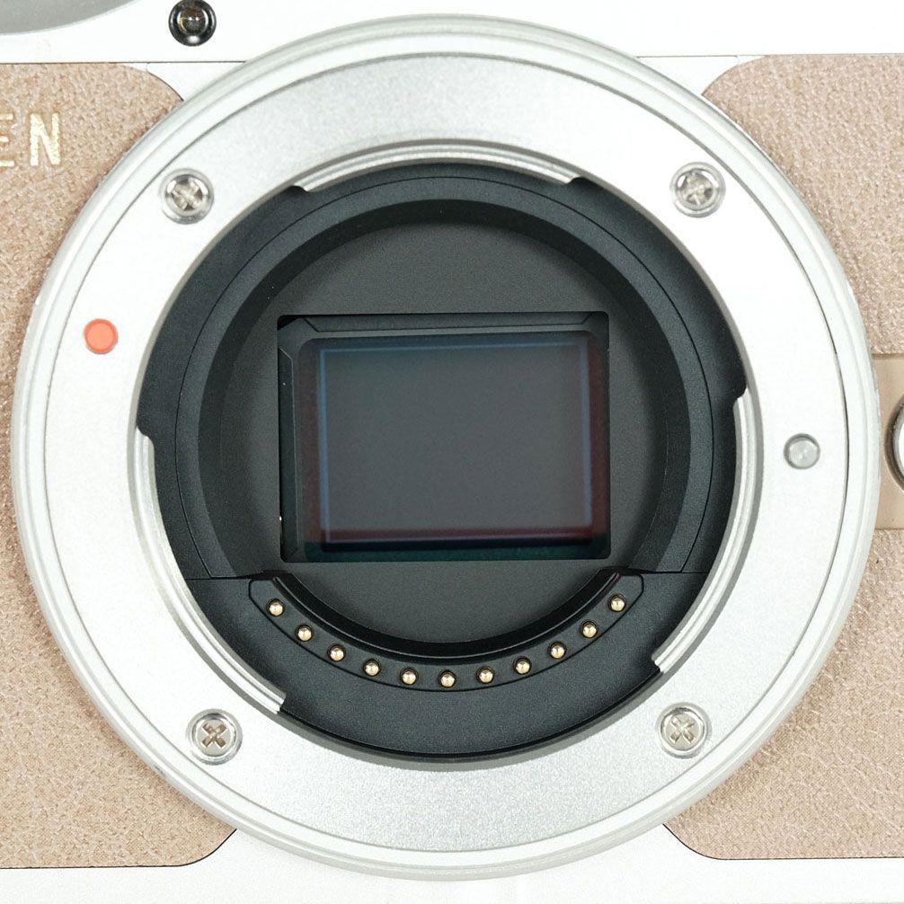 並品｜シャッター数6,730回] OLYMPUS PEN E-PL9 [ボディ