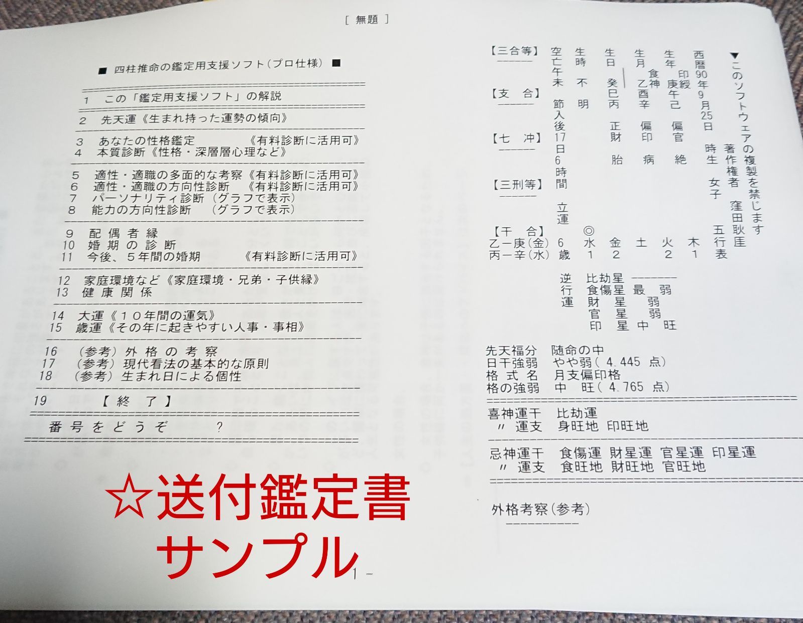 占い鑑定 高性能AI鑑定用プロ版ソフトによる四柱推命学鑑定書を作成します。 - メルカリ