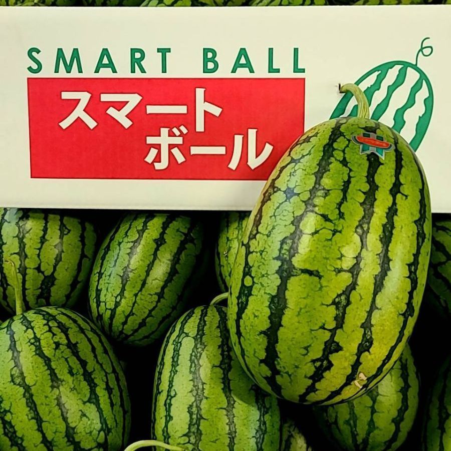 スイカさん（╹◡╹）大きい（╹◡╹） すいか 特大玉スイカ 秀品 特大玉 11kg 1玉 鳥取県 大栄町産