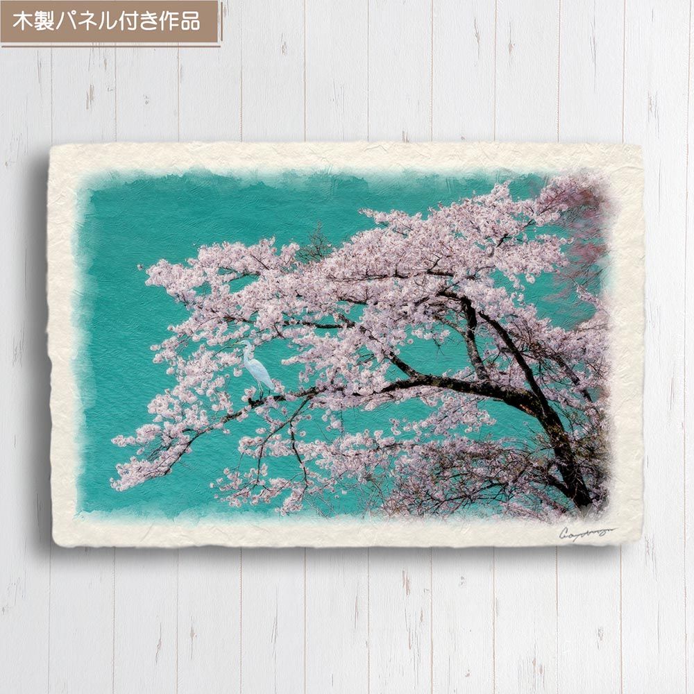 和紙の絵写真 「白鷺とコバルトブルーの湖面と桜の木」 パネル付き 60x40cm 絵画 インテリア 玄関 風景画 アート パネル ポスター おしゃれ  新築祝い 絵 壁掛け 和モダン 和風 ジャパンディ 春 ピンク 花の絵 - メルカリ