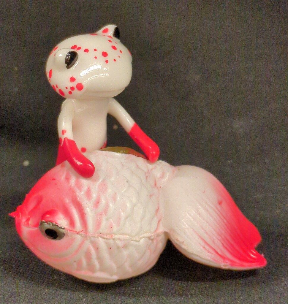 金魚セット