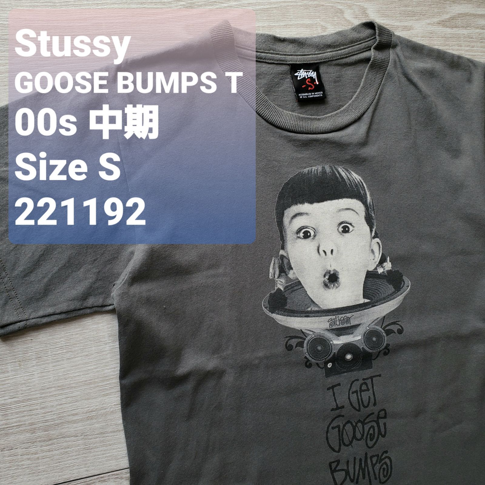 STUSSYステューシー□良品 00s 中期 I GET GOOSE BUMPS 半袖