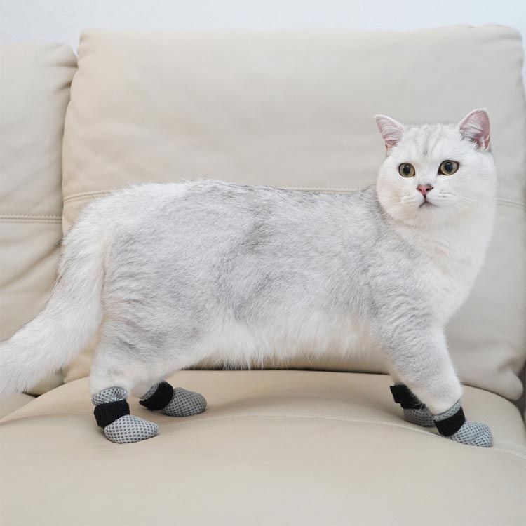 ネコ足 Amazon.co.jp: PAWZ Road 猫 トンネル キャットトンネル