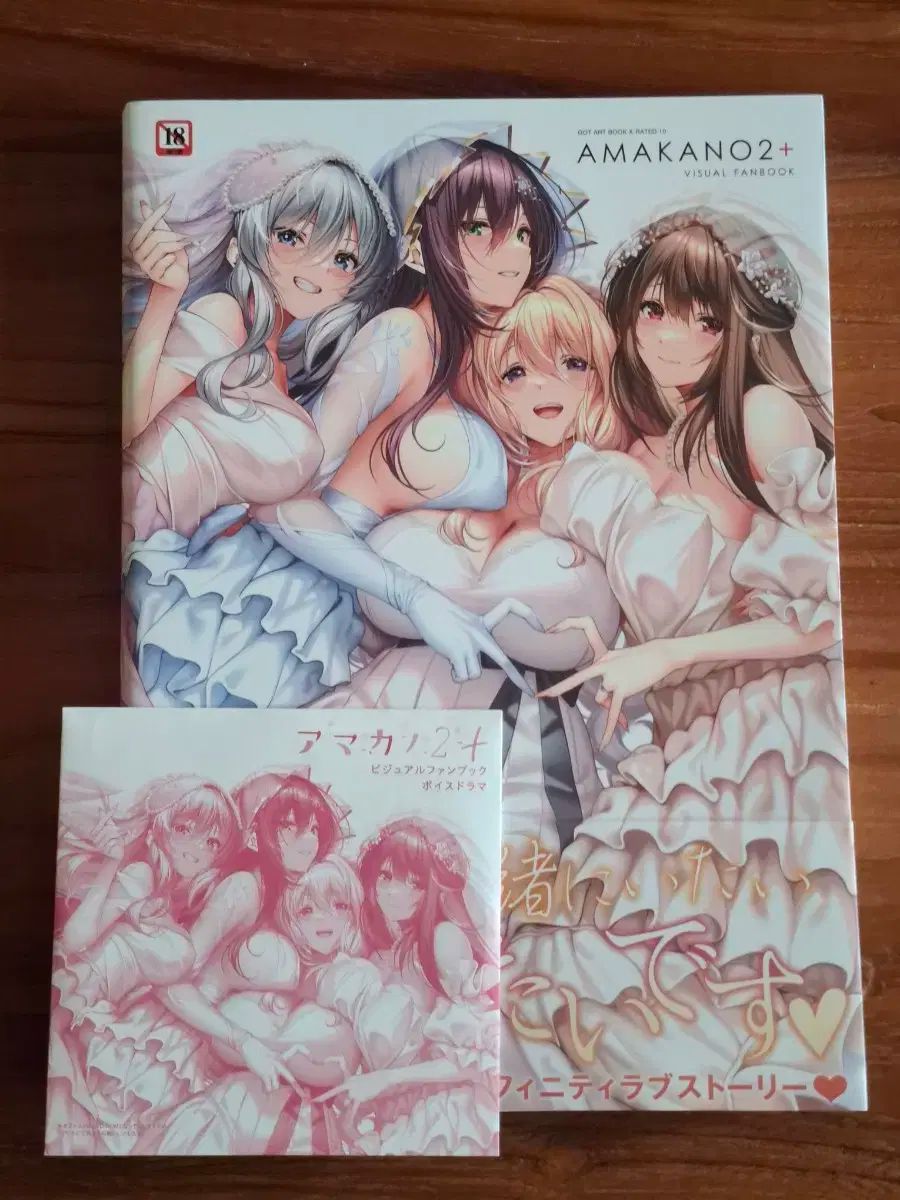 あまかの 2 ビジュアル ファンブック アマカノ