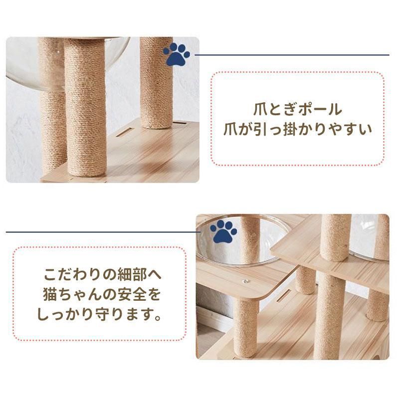 透明宇宙船 猫ハウス