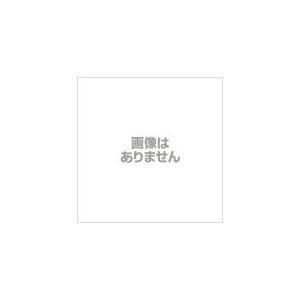 夏2点セット韓国風 体型カバー