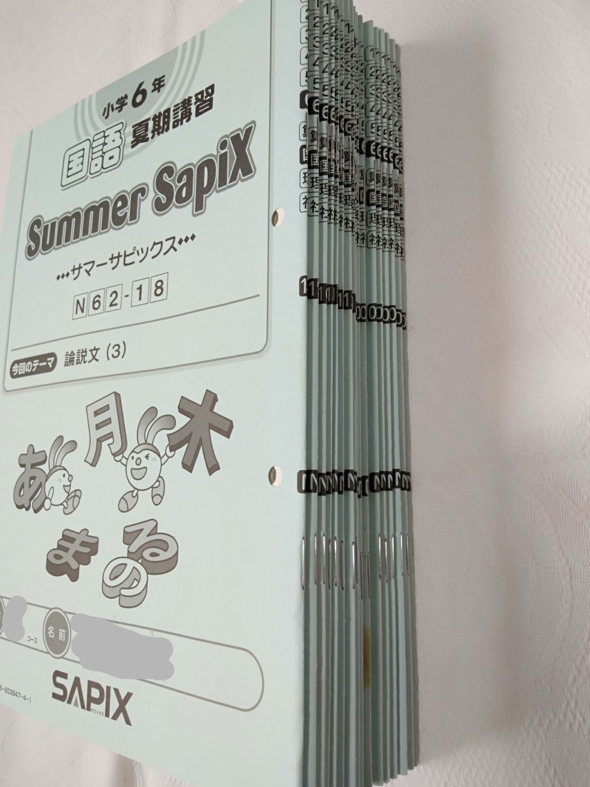 中学受験　国語サマーサピックス　小学6年　1〜１８ 解答付！夏期講習教材　参考書 💛中学受験 国語サマーサピックス 小学6年 1〜18 解答付！夏期