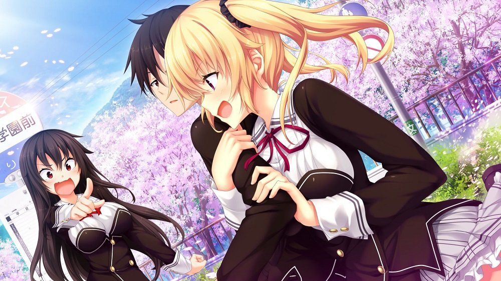 ノラと皇女と野良猫ハート TVアニメ同梱プレミアム版 新品 ノラと皇女と野良猫ハート HD プレミアム版 【限定版同梱物